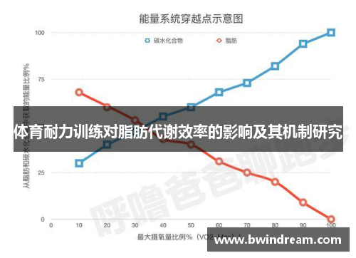 体育耐力训练对脂肪代谢效率的影响及其机制研究
