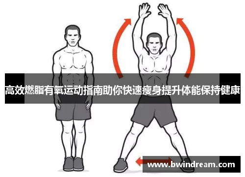 高效燃脂有氧运动指南助你快速瘦身提升体能保持健康